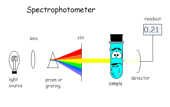 Spectrophotometer lens light source slit prism or grating readout
 .21 detector sample
