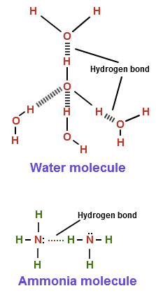 Hydrogen bond Water molecule Hydrogen bond ...H-N-H Ammonia molecule
