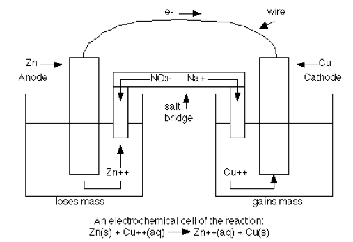 Anode loses mass N03- Na4 brldge Cl.l++ wire Cathode gains mass An
 or the Zn(s) Cu(s) 