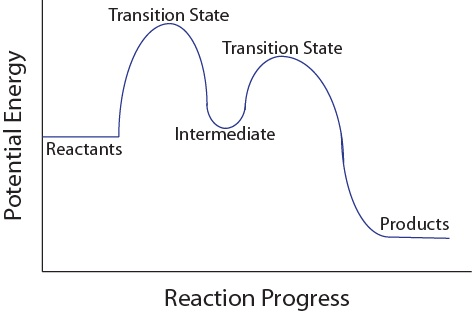 Transition State Reacta nts Transition State Intermediate Products
Reaction Progress 