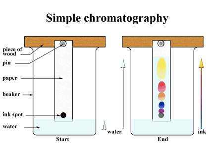 Simple chromatography beaker ink spot Sta rt water End
