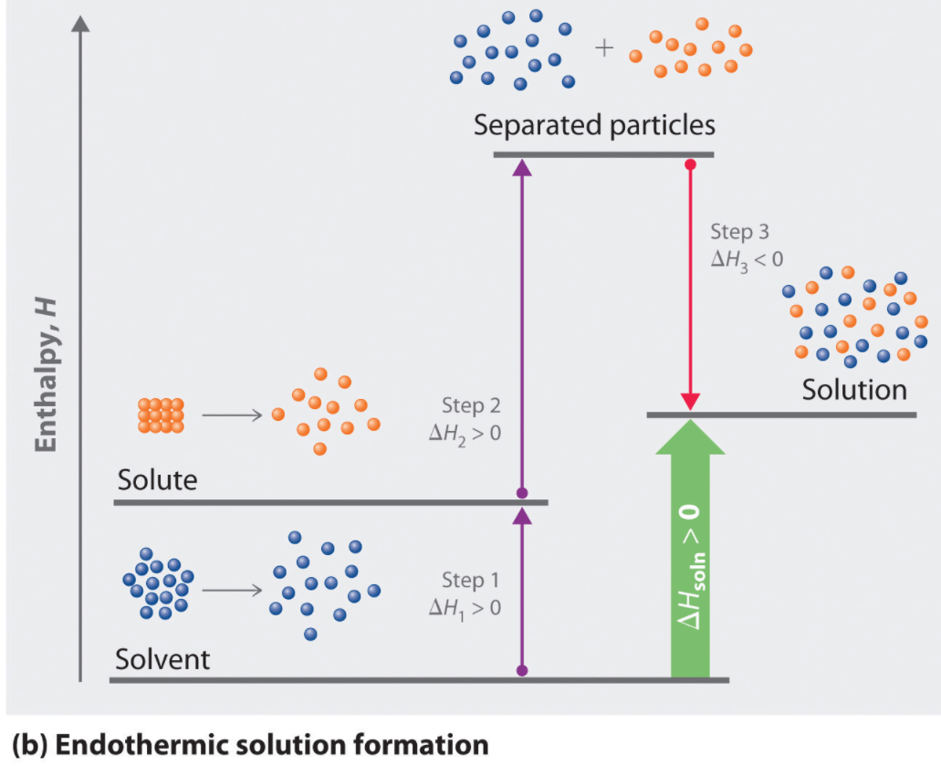 Separated particles Step 3 AH3 < o Solution Step 2 AH2 > 0 Solute
000 Step 1 oo AHI > o Solvent (b) Endothermic solution formation
