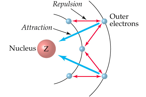 Repulsion Outer electrons Attraction Nucleus Z 