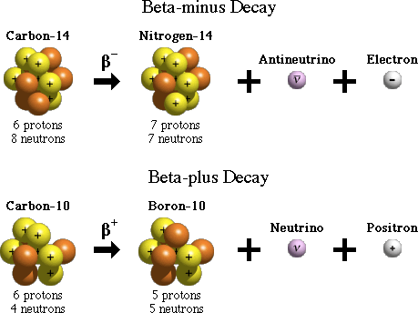 Carbon- 14 6 protons 8 neutrons Carbon- 1 0 6 protons Beta-minus
Decay Nitrogen- 14 Antineutrino Electron 7 protons 7 neutrons
Beta-plus Decay Boron- 1 0 5 protons Neutrino Positron
